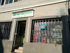 Bar las costeras