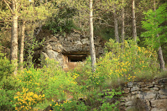 Bunkers de Martinet I Montellá