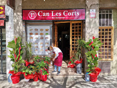 Can Les Corts
