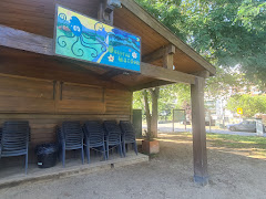 Octopus Garden