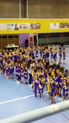 Pavelló Castellbisbal