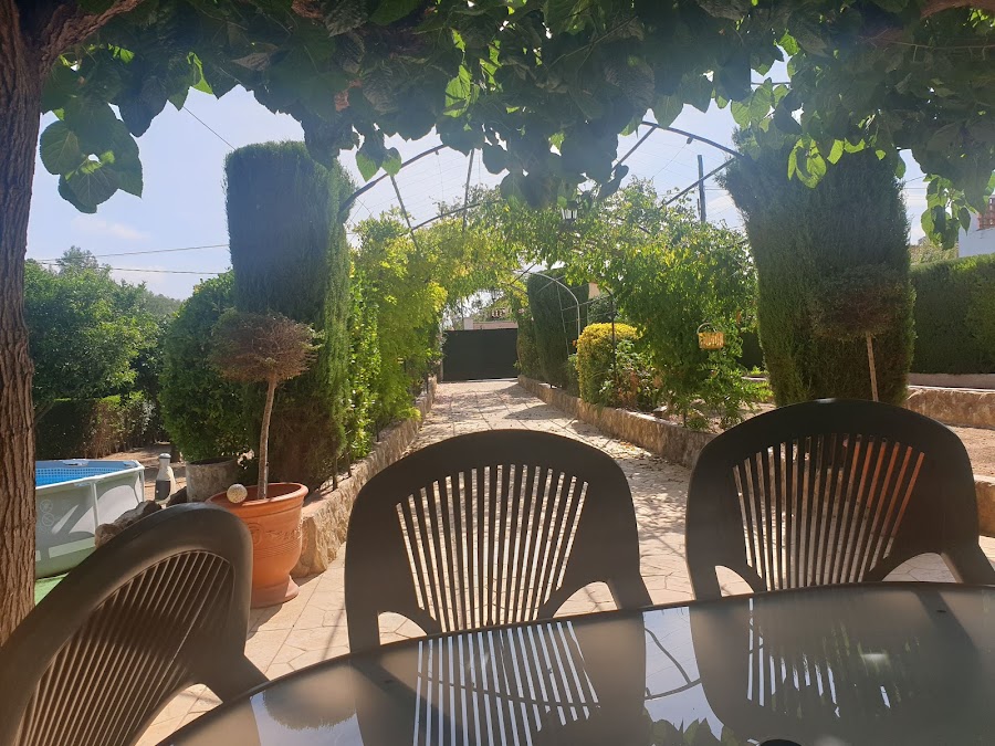 Bar Lameta