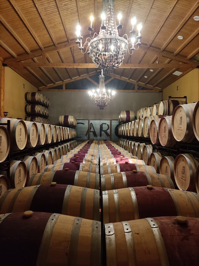 Bodegas Care