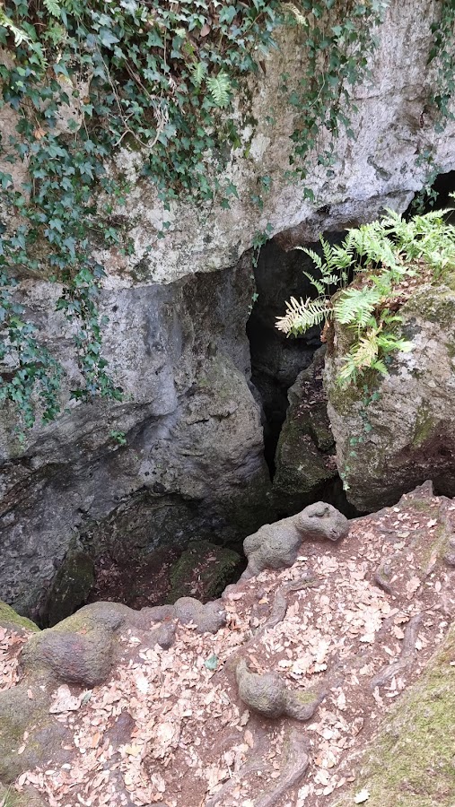 Bosque de Las Estunas