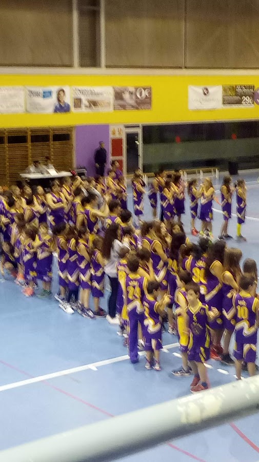 Pavelló Castellbisbal