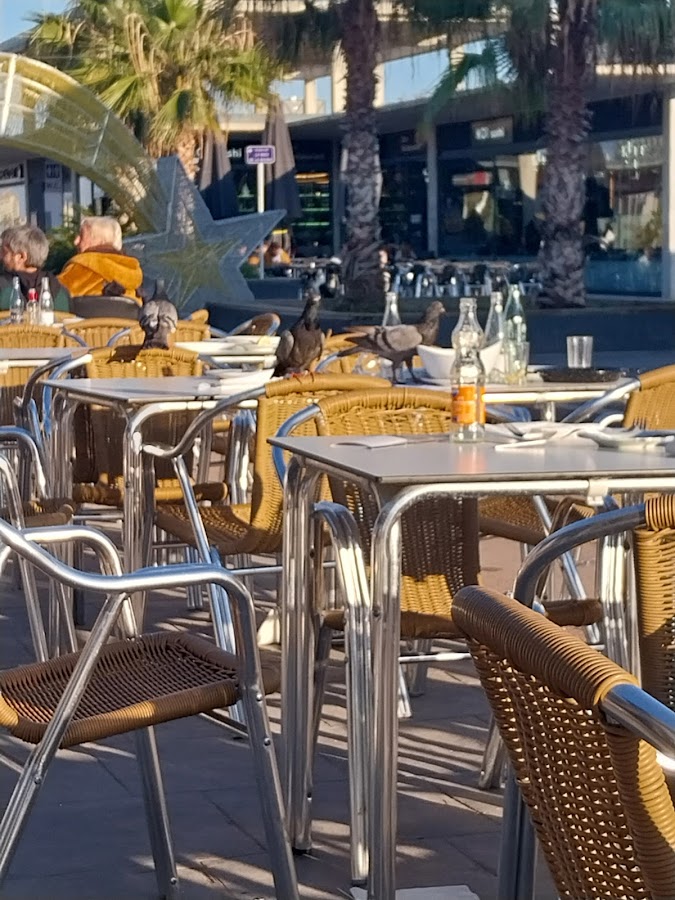 Restaurante Las Palmeras Premià