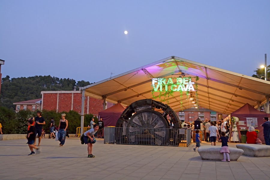 Sapri Pizza Vallirana